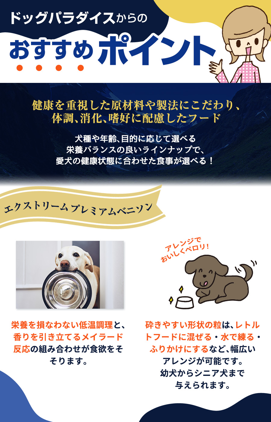 おすすめポイント