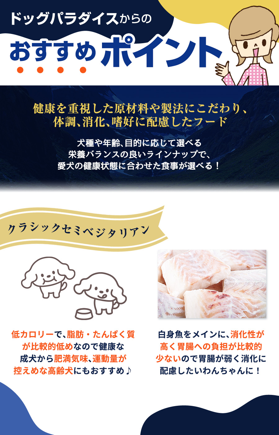 おすすめポイント