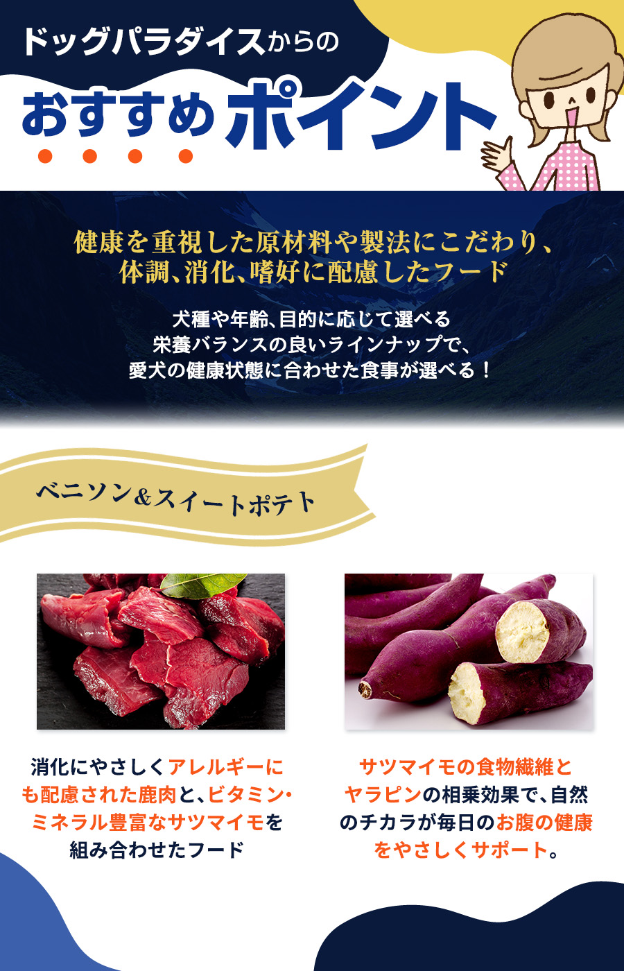 おすすめポイント