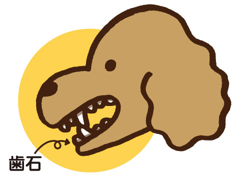 デンタルスマッシュ　トゥースペースト犬