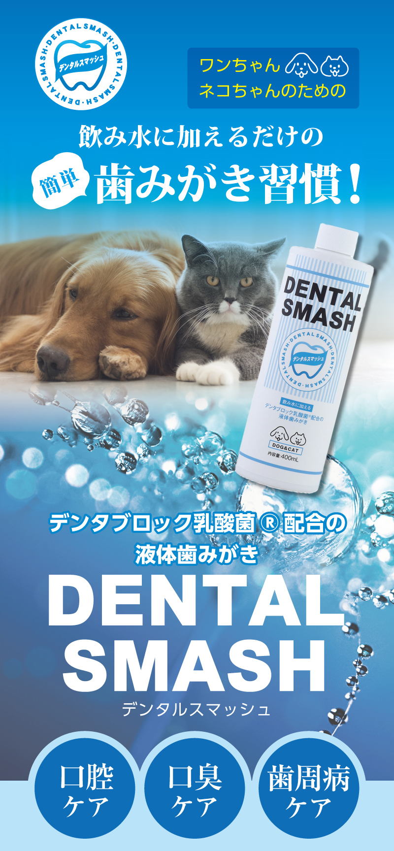 飲み水に加えるだけの簡単歯みがき習慣！デンタルスマッシュ マウスケアウォーターはデンタブロック乳酸菌配合の液体歯みがきです。1本で口腔ケア・口臭ケア・歯周病ケアが期待できます