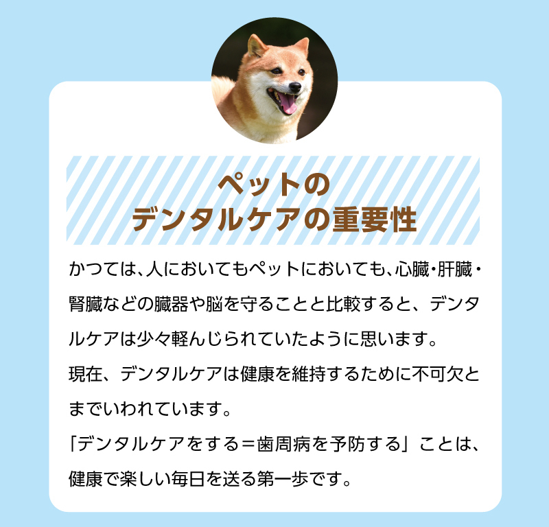 【ペットのデンタルケアの重要性】かつては、人においてもペットにおいても、心臓・肝臓・腎臓などの臓器や脳を守ることと比較すると、デンタルケアは少々軽んじられていたように思います。現在、デンタルケアは健康を維持するために不可欠とまでいわれています。「デンタルケアをする＝歯周病を予防する」ことは、健康で楽しい毎日を送る第一歩です。