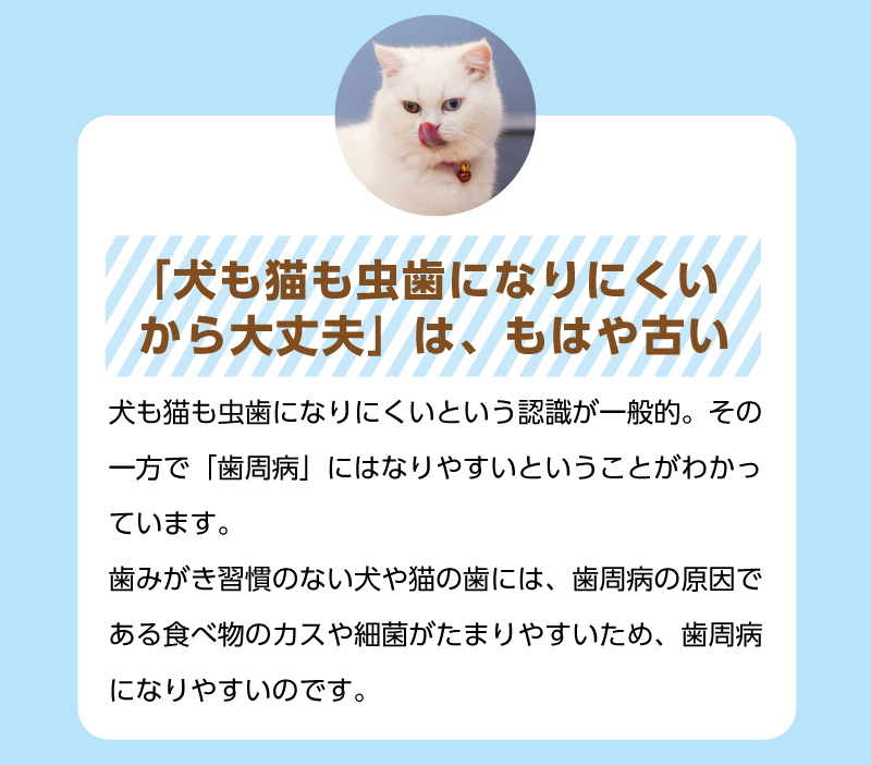 【「犬も猫も虫歯になりにくいから大丈夫」は、もはや古い】犬も猫も虫歯になりにくいという認識が一般的。その一方で「歯周病」にはなりやすいということがわかっています。歯みがき習慣のない犬や猫の歯には、歯周病の原因である食べ物のカスや細菌がたまりやすいため、歯周病になりやすいのです。