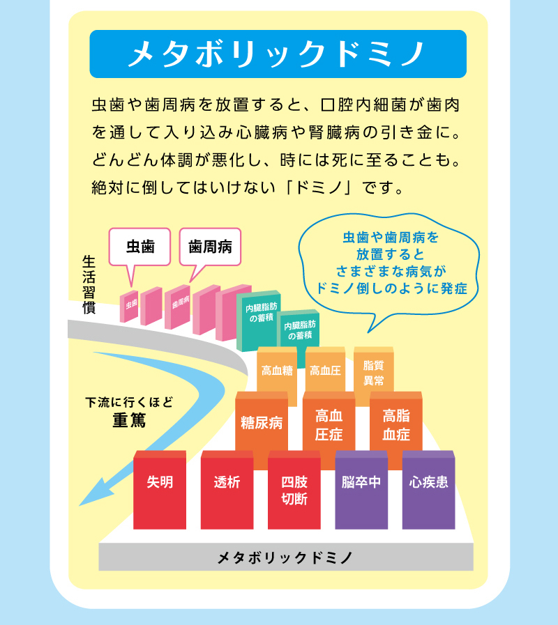 【恐ろしいメタボリックドミノ】虫歯や歯周病を放置すると、口腔内細菌が歯肉を通して入り込み心臓病や腎臓病の引き金に。どんどん体調が悪化し、時には死に至ることも。絶対に倒してはいけない「ドミノ」です。