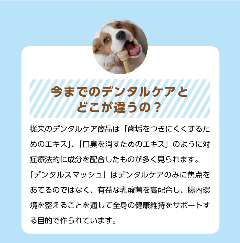 【今までのデンタルケアとの違い】【これまでのデンタルケアとどう違うの？】従来のデンタルケア商品は「歯垢をつきにくくするためのエキス」、「口臭を消すためのエキス」のように対症療法的に成分を配合したものが多く見られます。「デンタルスマッシュ」はデンタルケアのみに焦点をあてるのではなく、有益な乳酸菌を高配合し、腸内環境を整えることを通して全身の健康維持をサポートする目的で作られています。