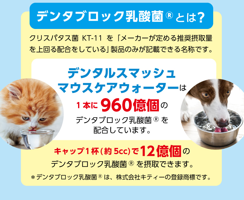 【デンタブロック乳酸菌®とは？】　クリスパタス菌KT-11を「メーカーが定める推奨摂取量を上回る配合をしている」製品のみが記載できる名称です。「デンタルスマッシュ　マウスケアウォーター」は1本に960億個のデンタブロック乳酸菌®を配合しています。キャップ1杯（約5cc）で12億個のデンタブロック乳酸菌®を摂取できます。＊デンタブロック乳酸菌®は、株式会社キティーの登録商標です。