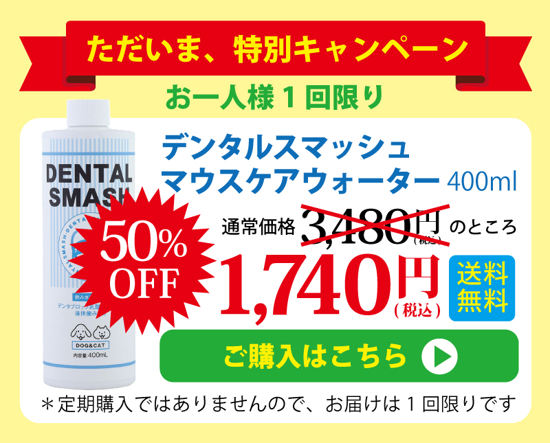 【今ならお得な価格で】「デンタルスマッシュ　マウスケアウォーター400ml」　標準小売価格3,480円（税込）のところ50％OFFの1,740円（税込）　送料当店負担