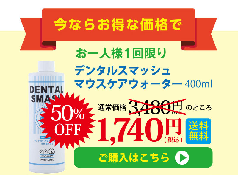 【今ならデンタルスマッシュ　マウスケアウォーターお得な価格で】「デンタルスマッシュ　マウスケアウォーター400ml」　標準小売価格3,480円（税込）のところ50％OFFの1,740円（税込）　送料当店負担　【合わない場合には返品可】万が一、ワンちゃん・ネコちゃんが飲んでくれないなど、商品をお気に召さない場合には、お届けから7日以内にご連絡をいただけましたら返品をお受けいたします。