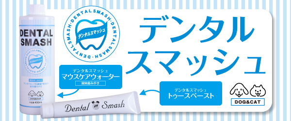 デンタルスマッシュ