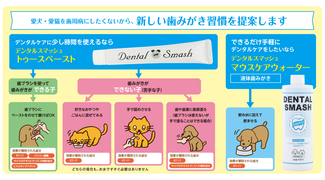 愛犬・愛猫を歯周病にしたくないという飼い主さまに、新しい歯みがき習慣を提案します