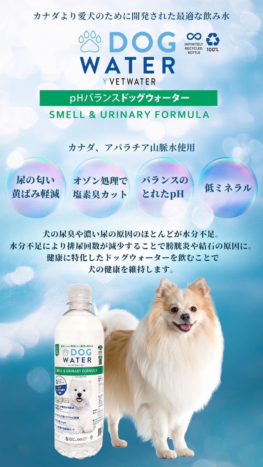 ドッグウォーター