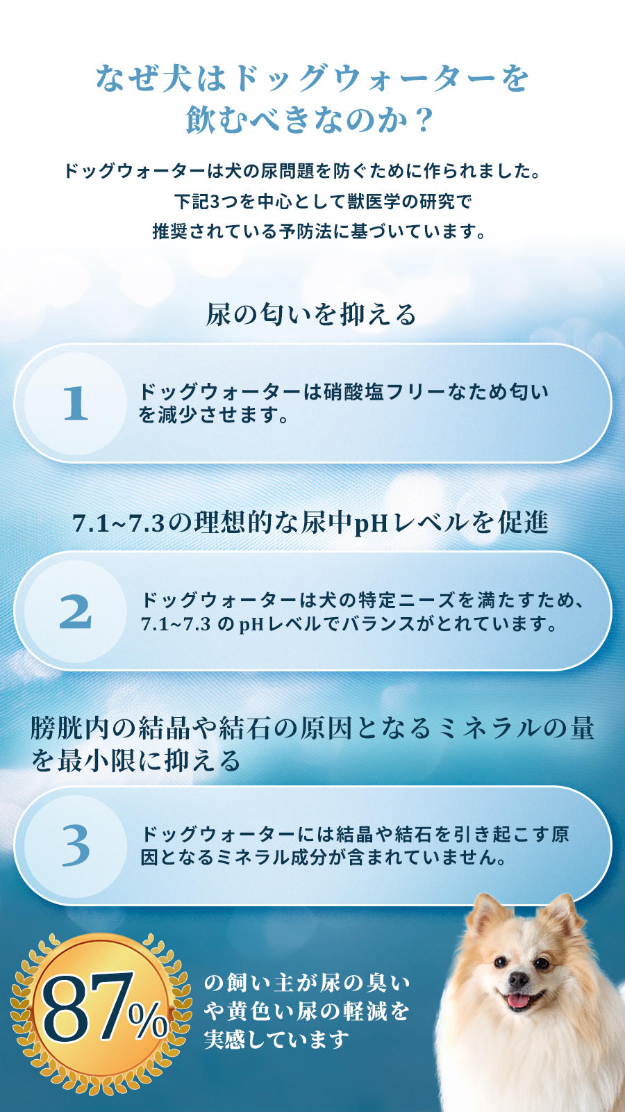 ドッグウォーター