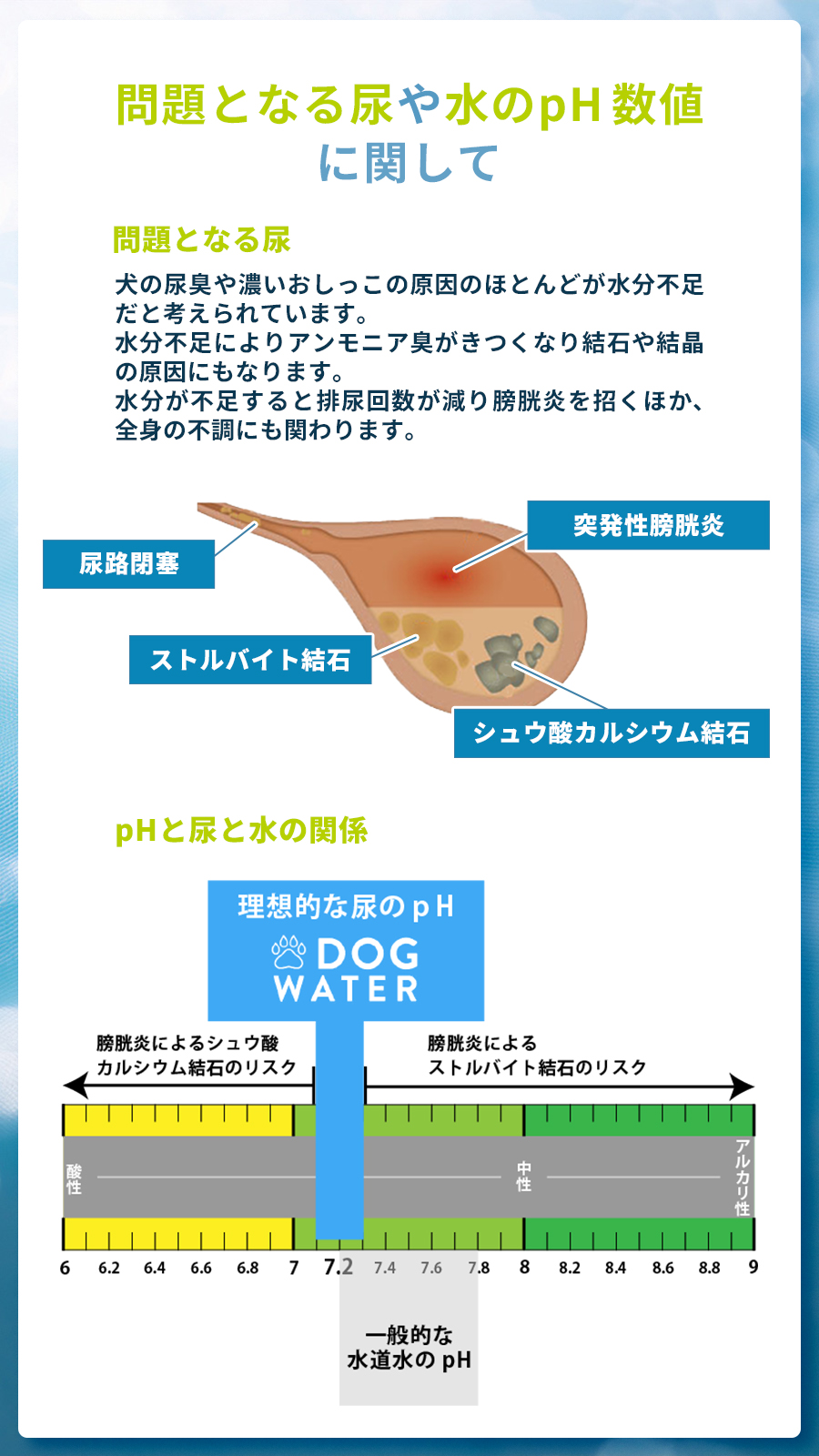 ドッグウォーター