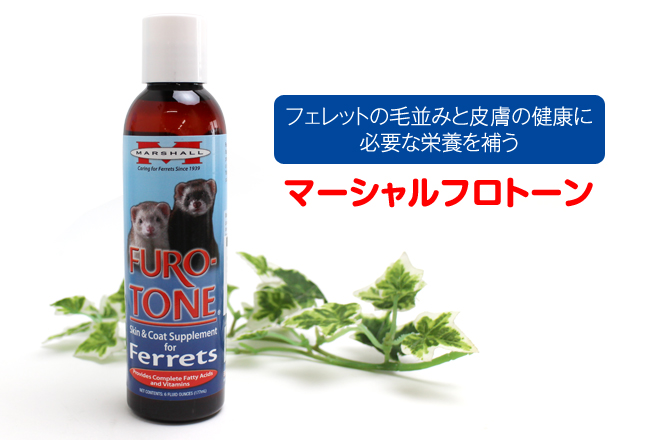 マーシャル フロトーン