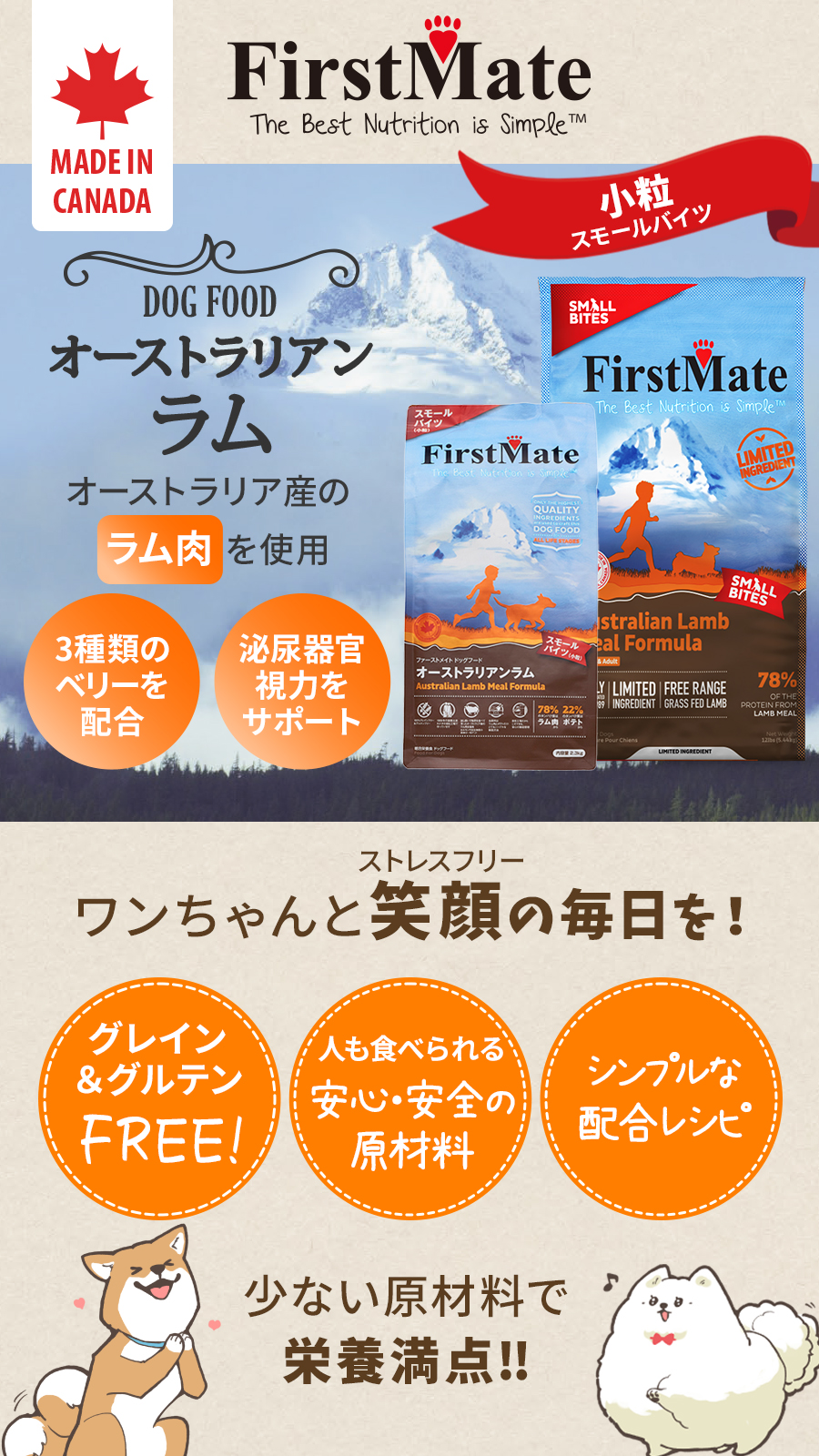 オーストラリアンラム 小粒