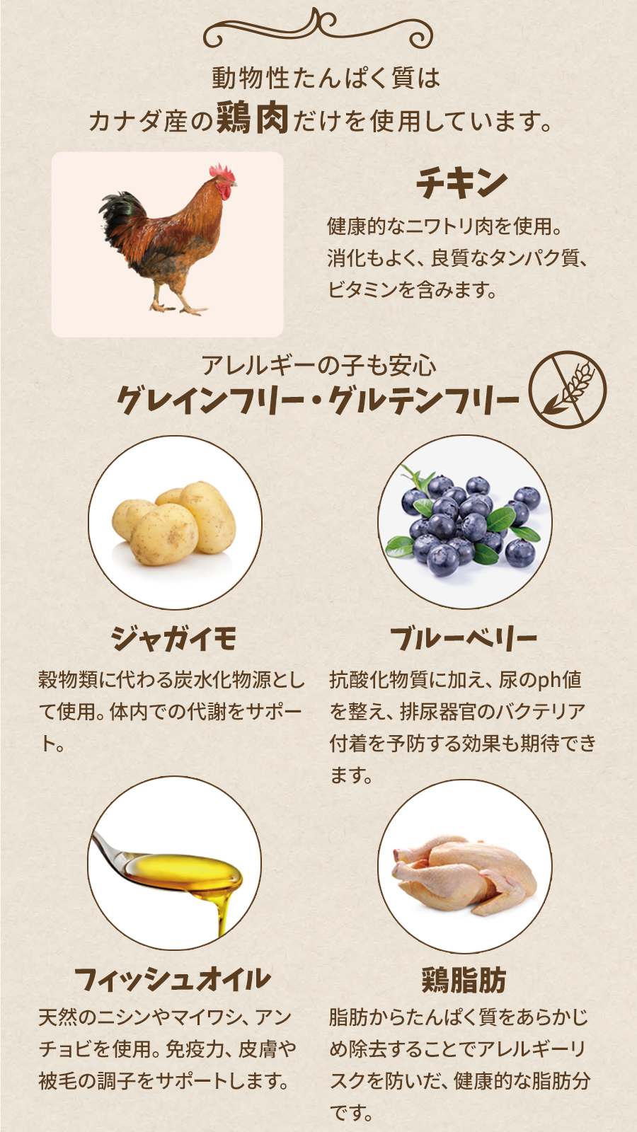 チキン　ウィズ　ブルーベリー