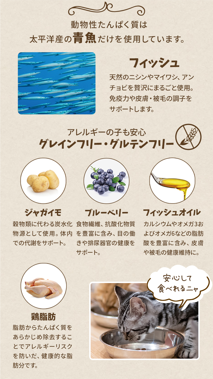 キャット パシフィックオーシャンフィッシュウィズブルーベリー