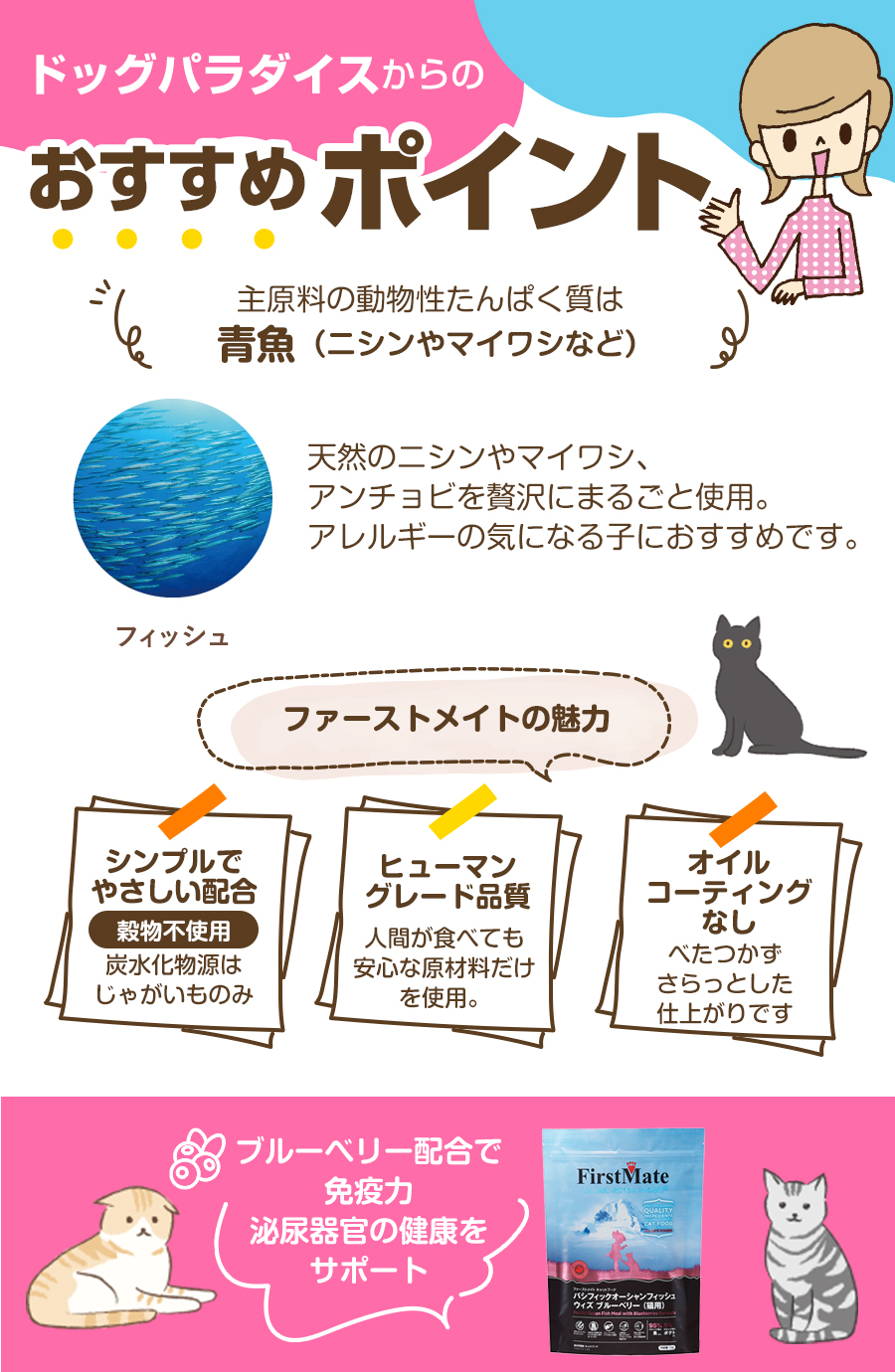 おすすめポイント
