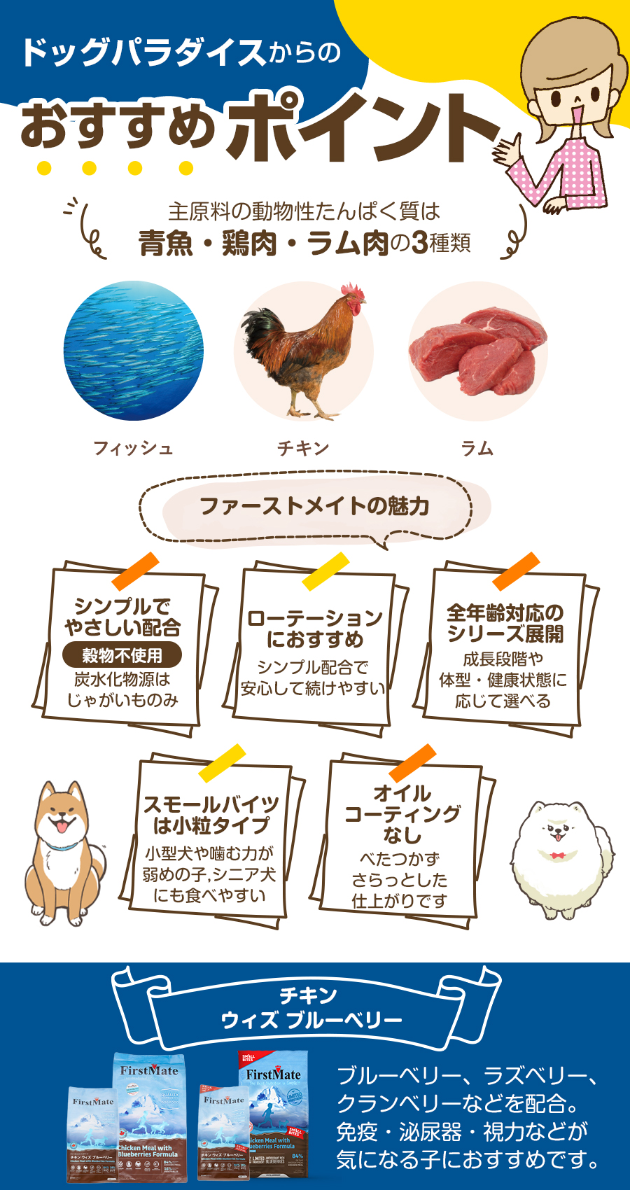 おすすめポイント