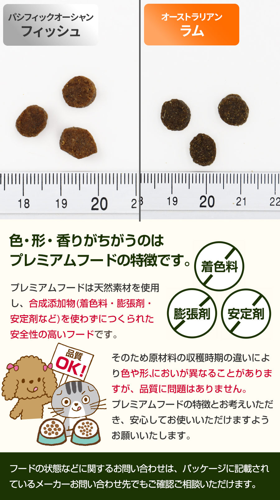 粒