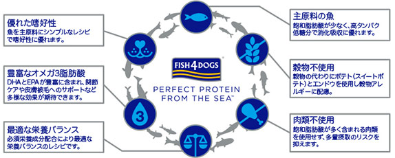 フィッシュ4ドッグの主原料は魚。優れた嗜好性、豊富なオメガ３脂肪酸、最適な栄養バランス