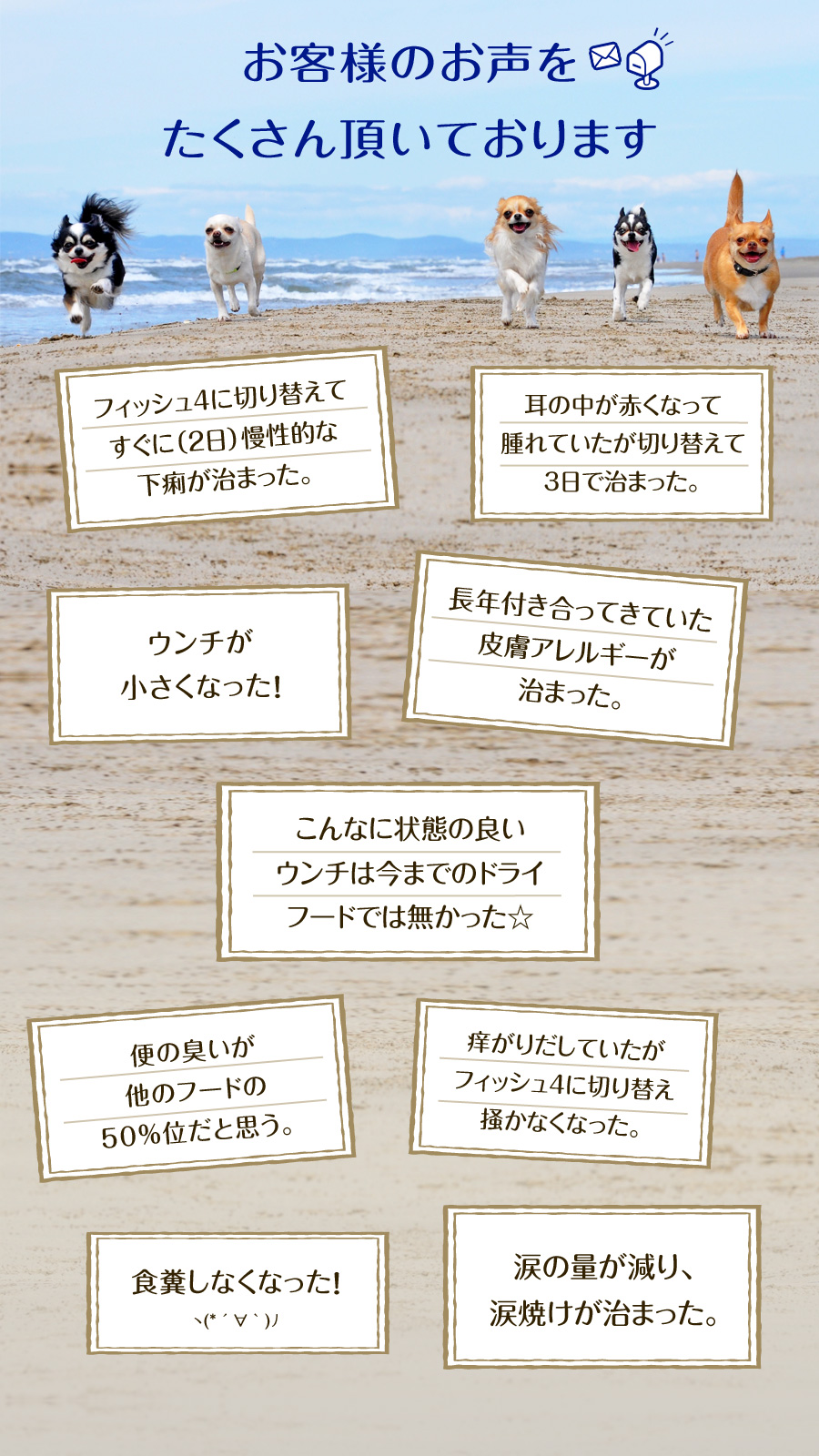 フィッシュ4ドッグ ファイネストお客様の声