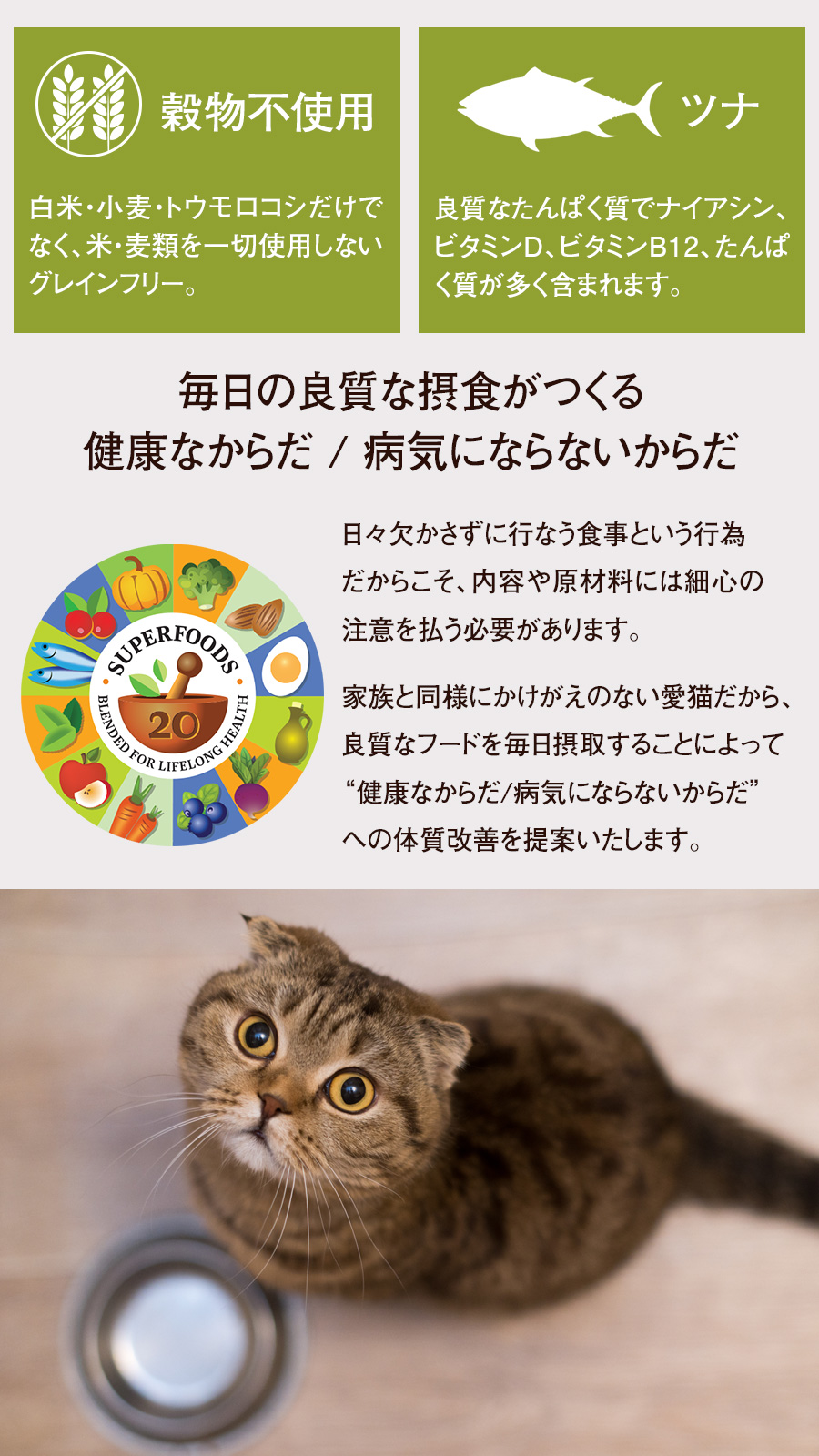 アーテミス オソピュア ツナ缶