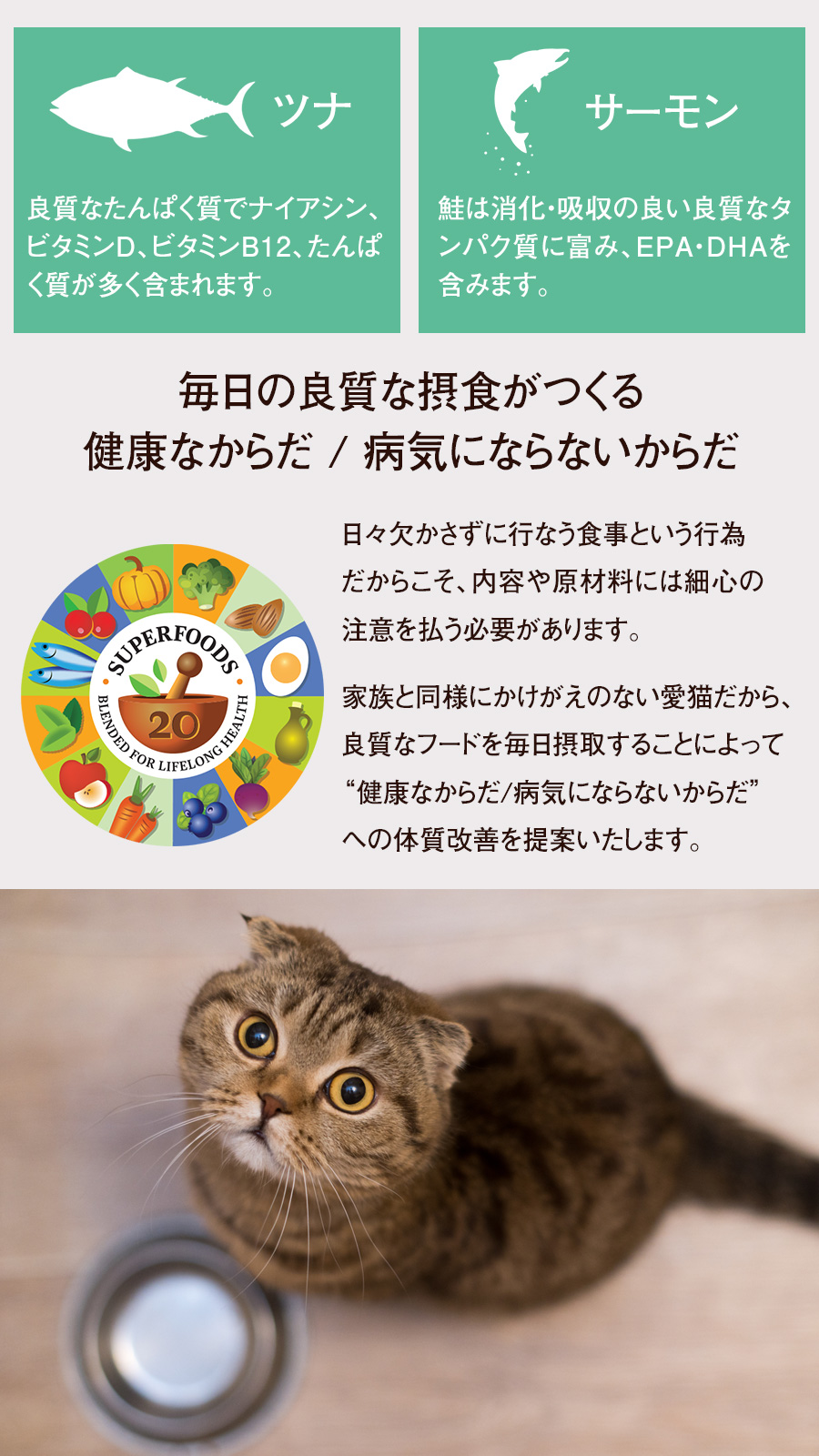 アーテミス オソピュア ツナ&サーモン缶