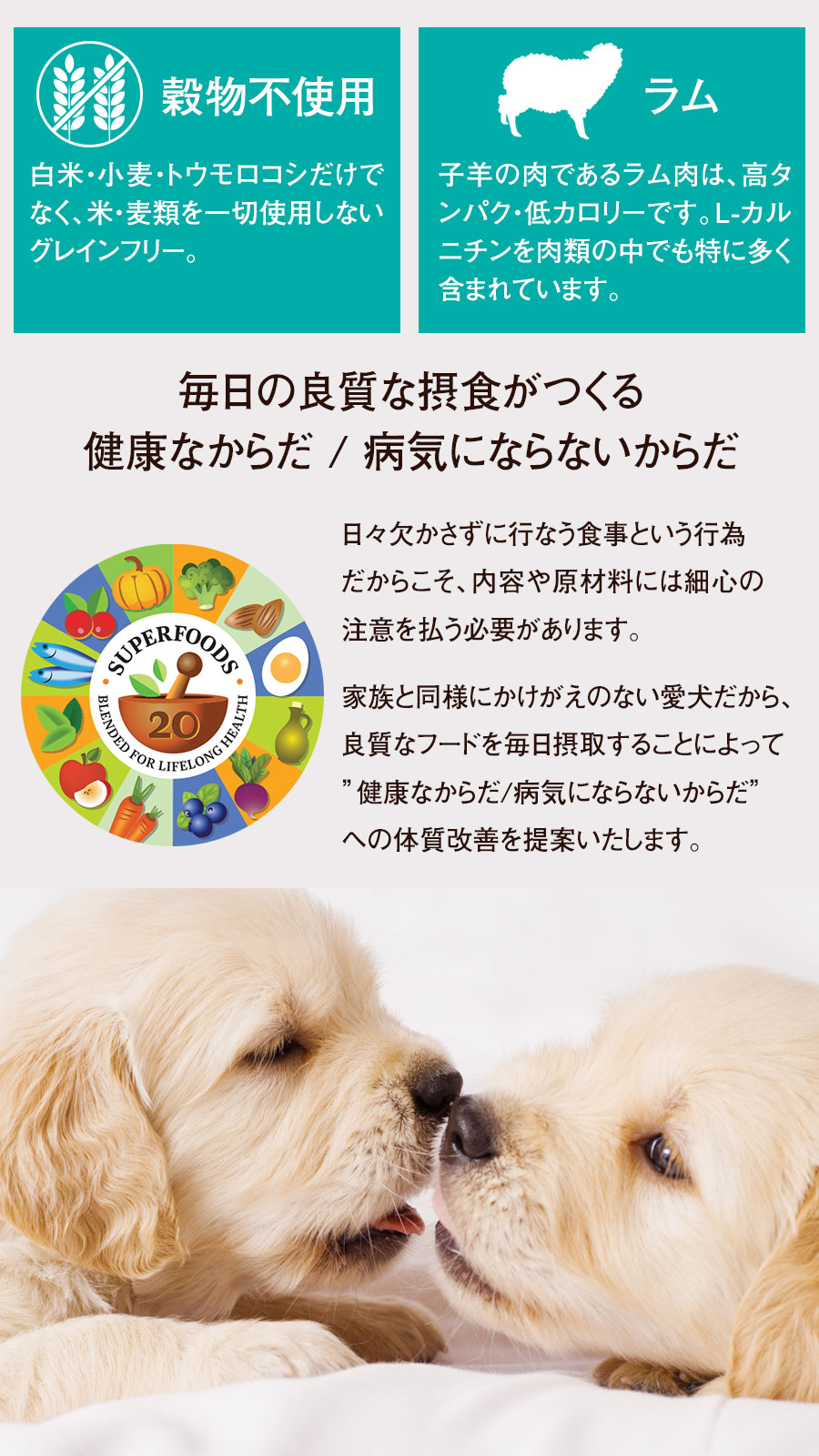 アーテミス オソピュア ラム缶