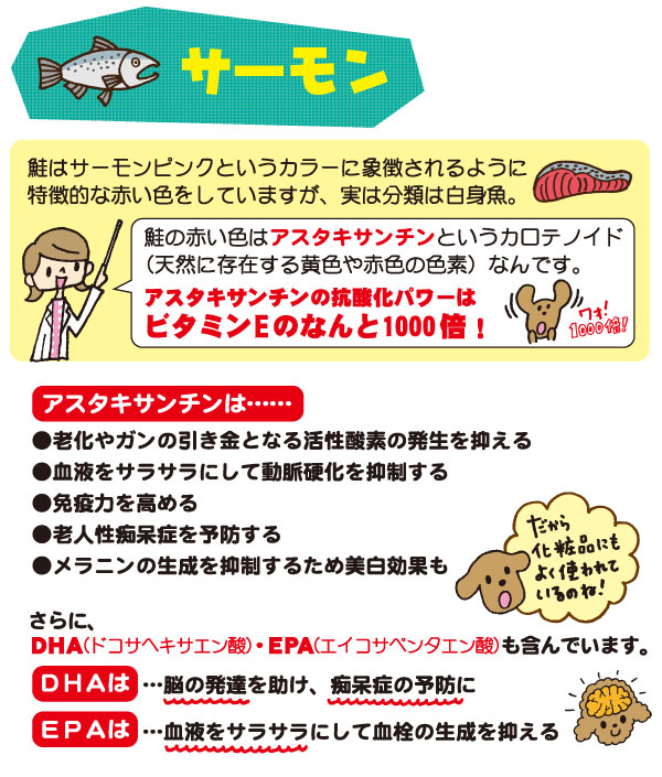 サーモンについて