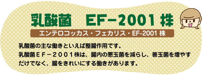乳酸菌EF-2001株
