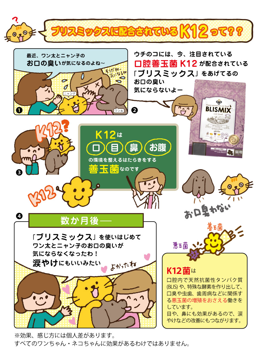 ブリスミックス　キャット