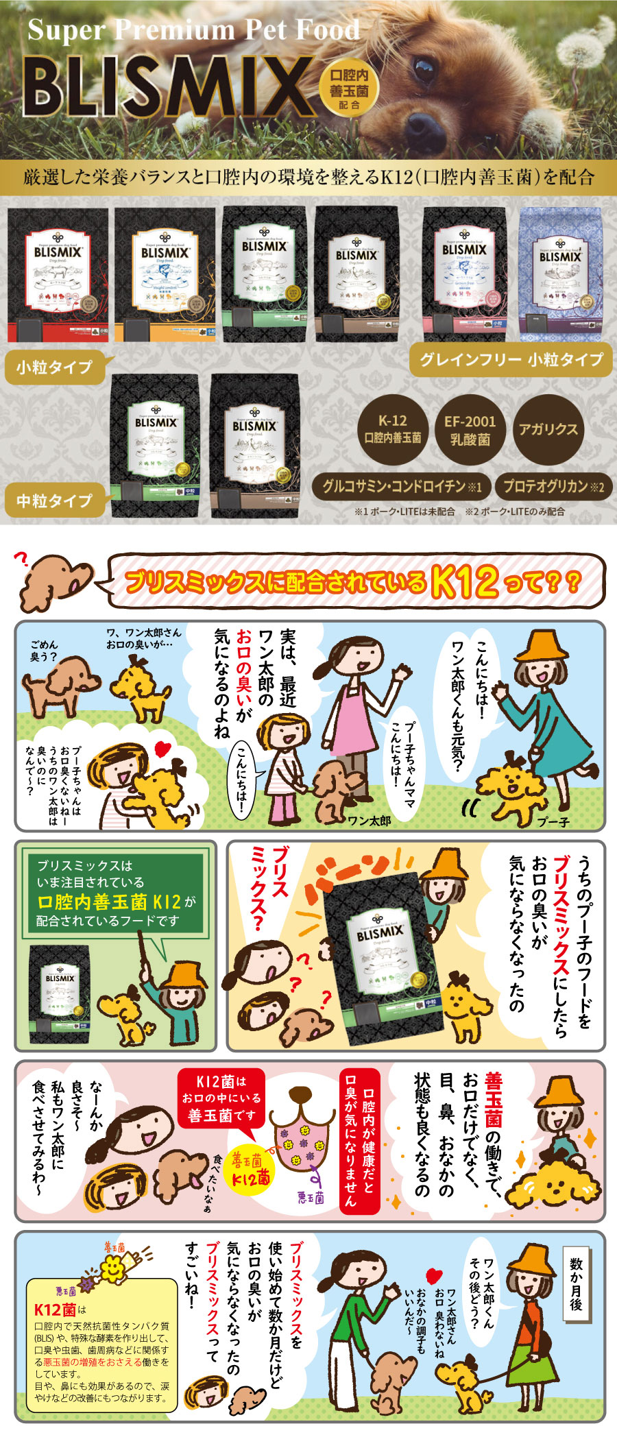 ブリスミックス