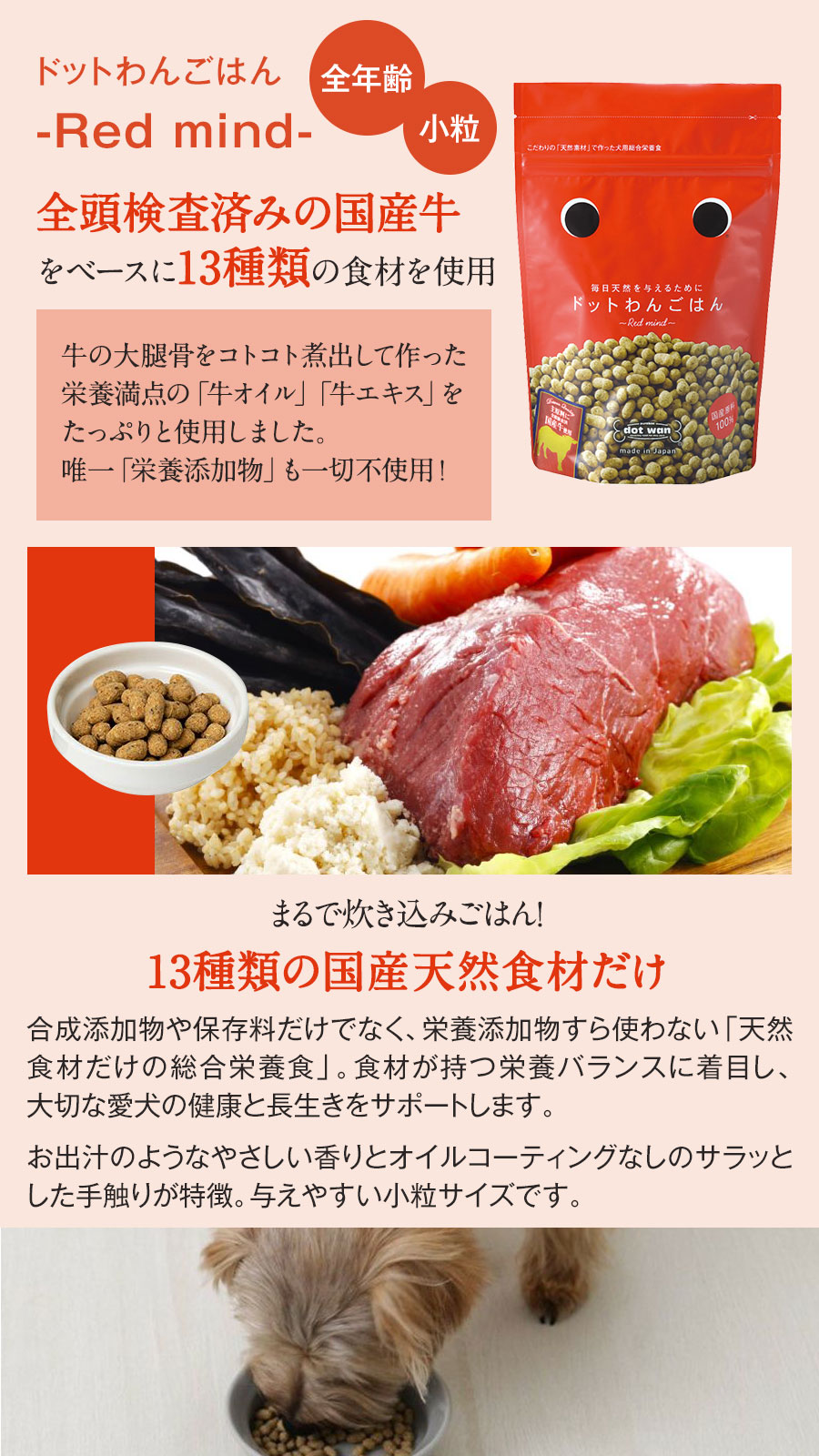 ドットわん ドットわんごはん-Red mind-