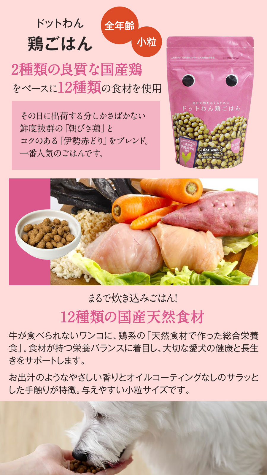 ドットわん ドットわん 鶏ごはん