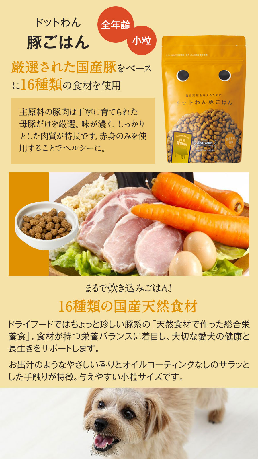 ドットわん ドットわん 豚ごはん