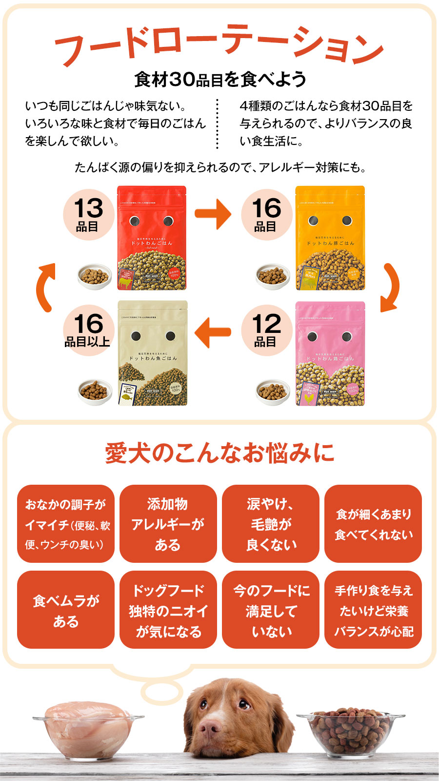 ドットわん ドットわんごはん