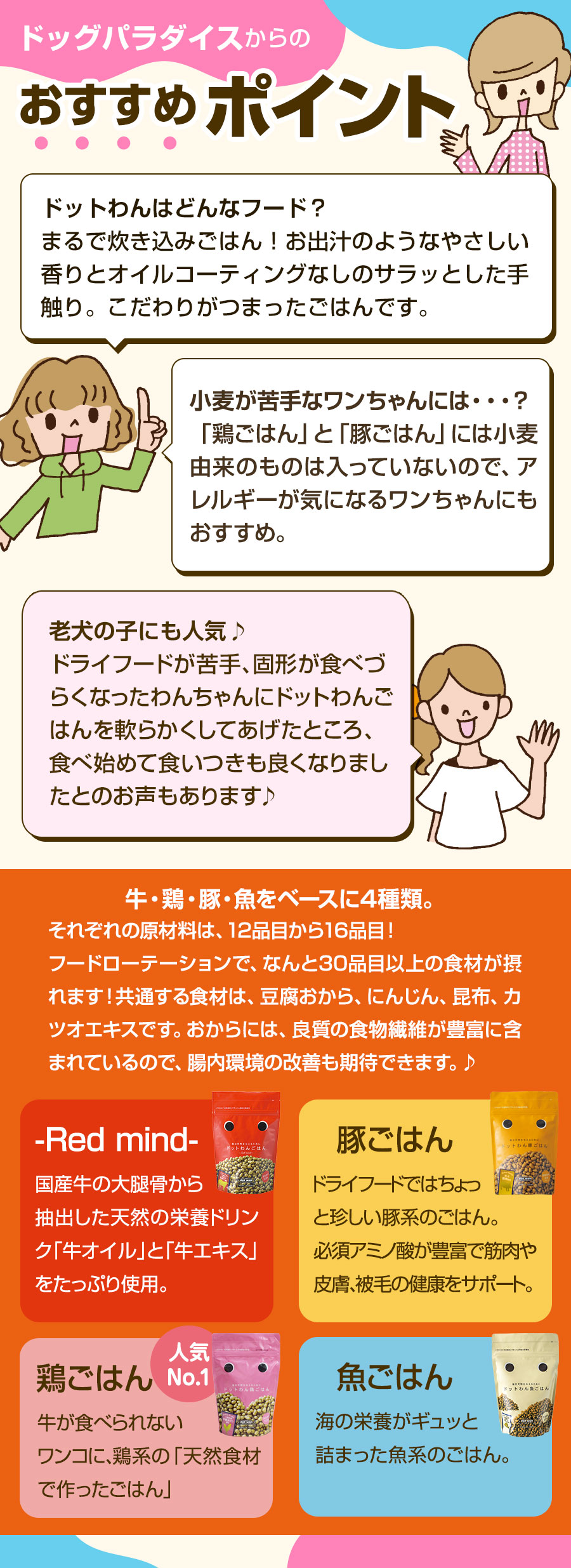 おすすめポイント