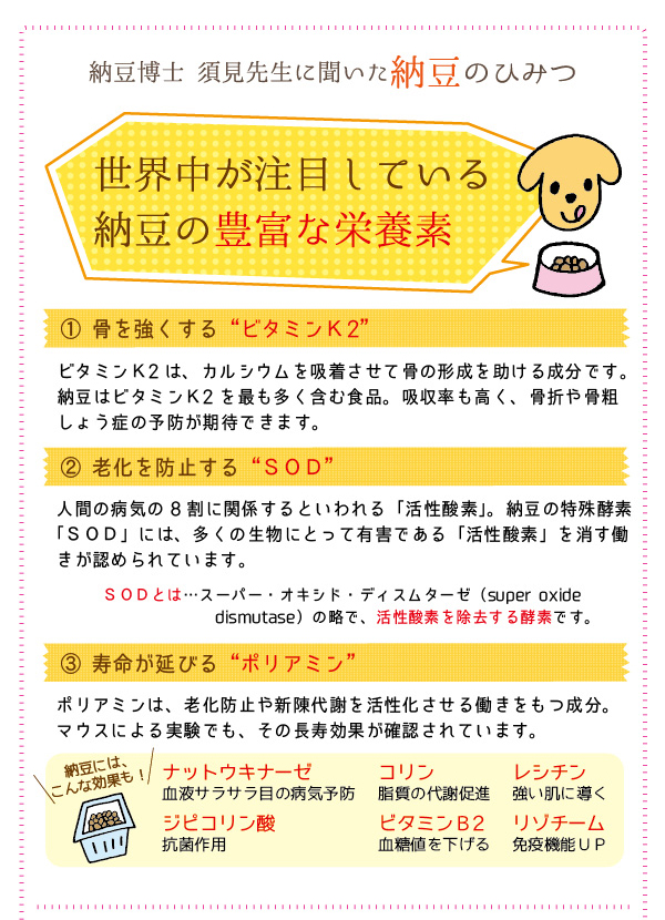 ドットわん フリーズドライ納豆