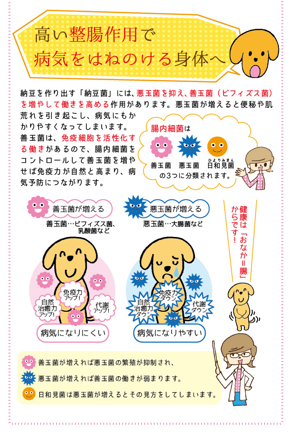 ドットわん フリーズドライ納豆