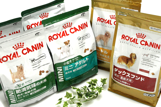 ロイヤルカナン Royal Canin は犬の健康維持を最優先に考えたプレミアムドッグフード 消化率90 以上の高品質なタンパク質l I P を使用して良好な腸内環境の維持を目指すフードも
