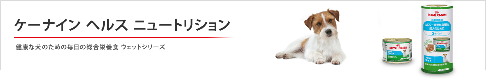 ケーナインヘルスウェット