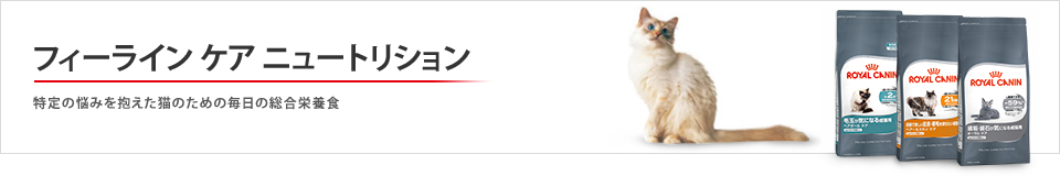 フィーラインケア