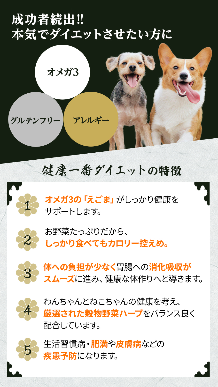 健康一番 ダイエット