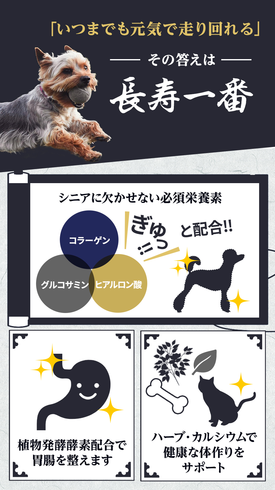 長寿一番