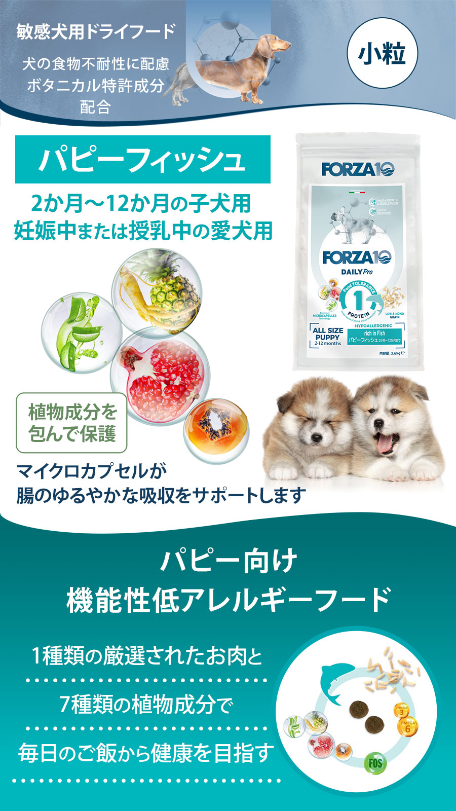 Daily Pro アダルトミニ フィッシュ