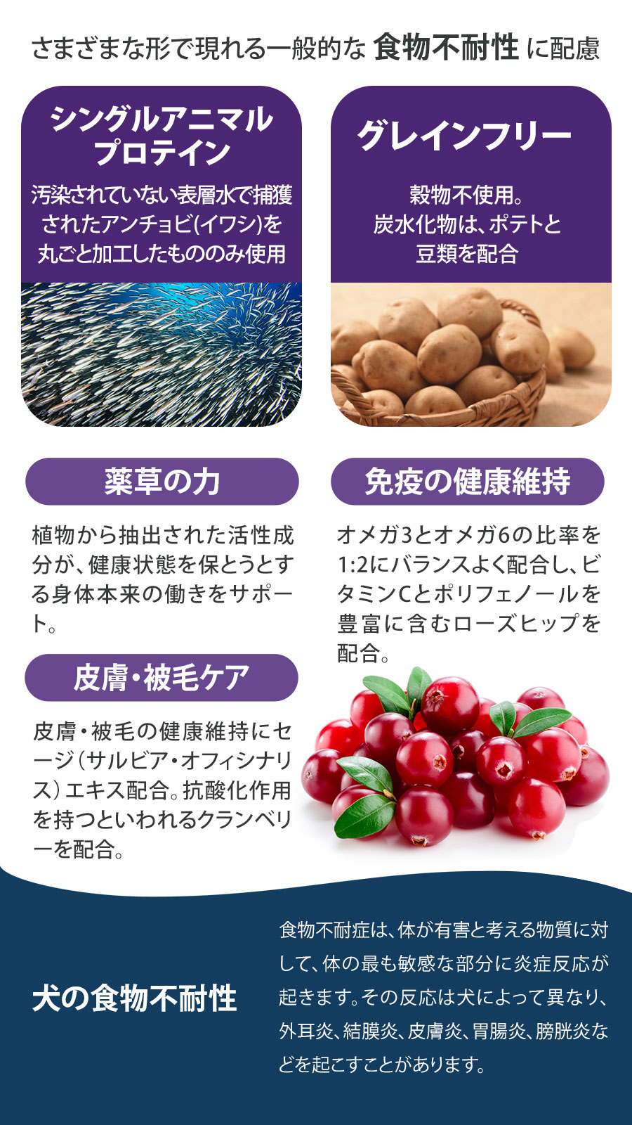 Daily Pro アダルトミニ ヘルシースキン フィッシュ