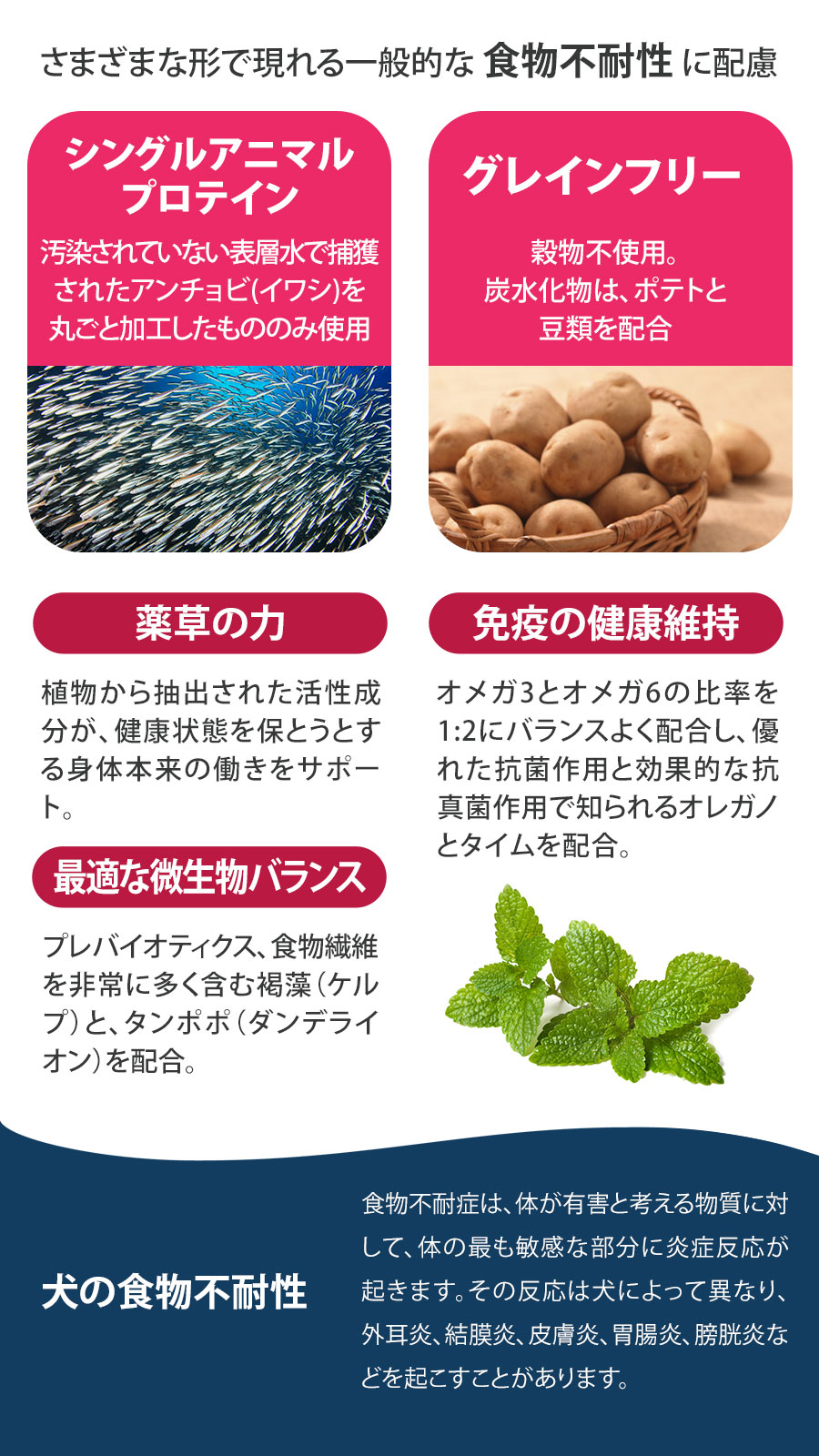 Daily Pro アダルトミニ ヘルシーダイジェスチョン フィッシュ