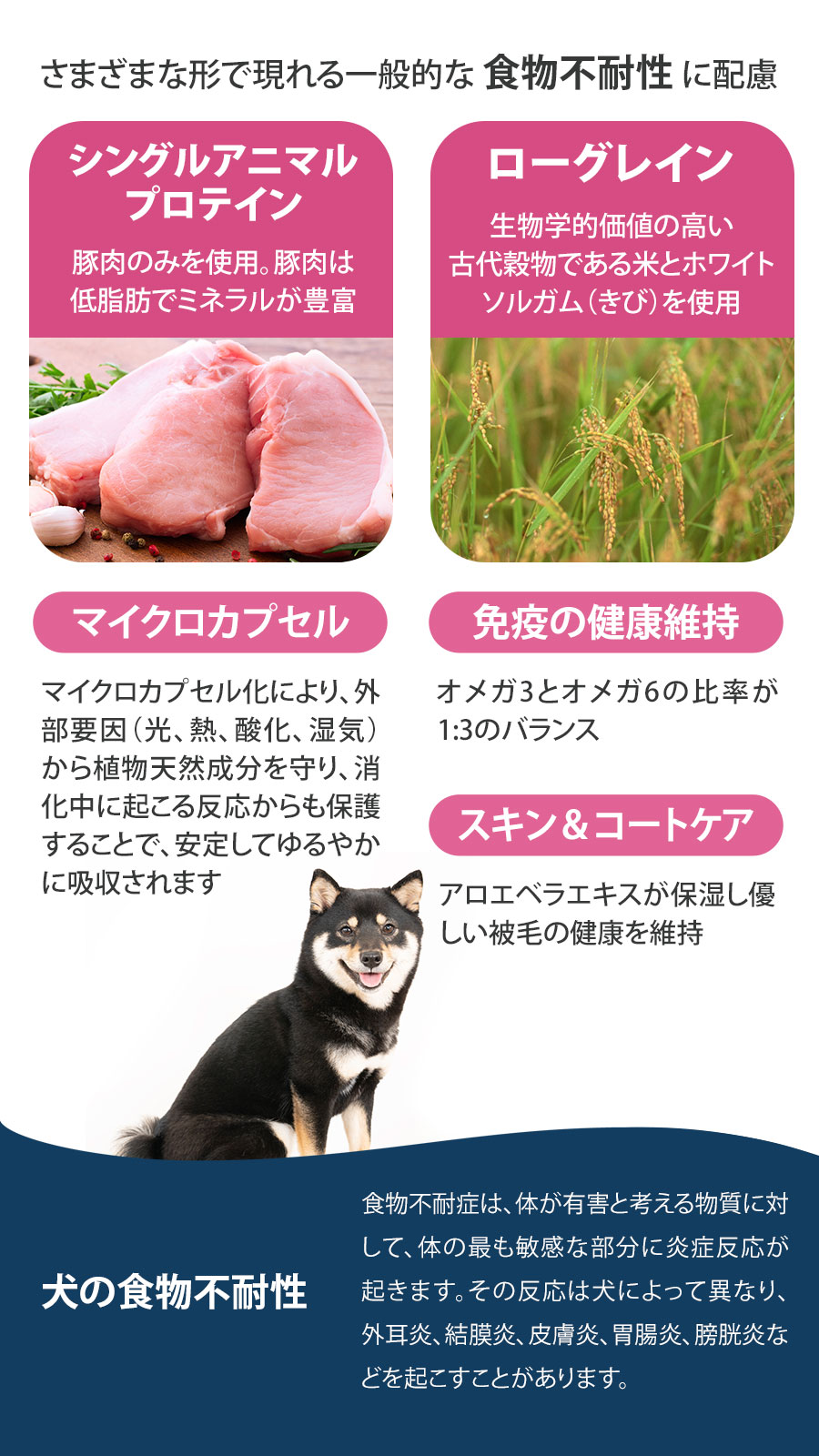 Daily Pro アダルトミニ ポーク