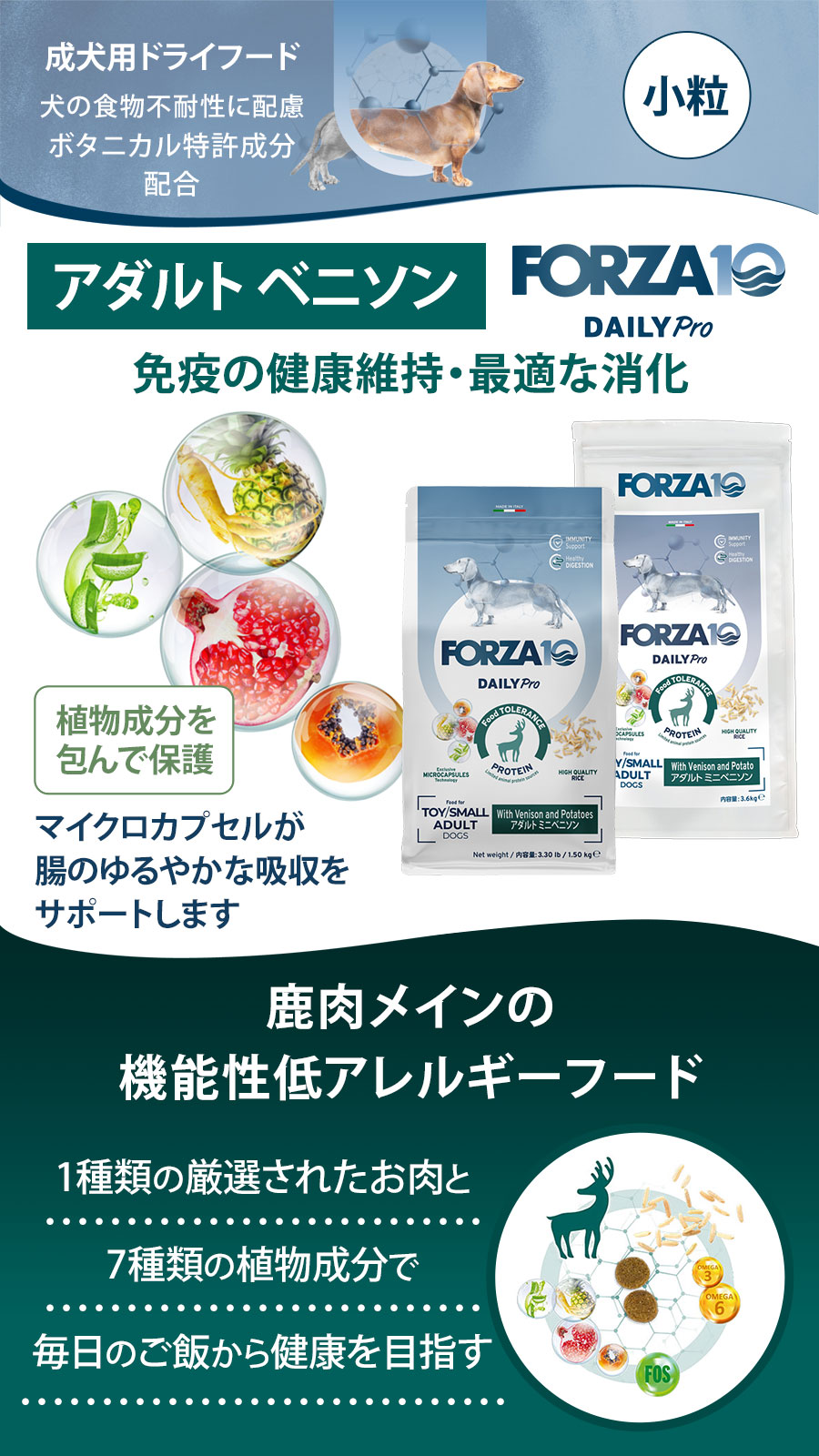 Daily Pro アダルトミニ ベニソン